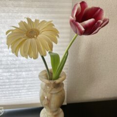 私が天然石・鉱物をインテリアにすすめるワケ。