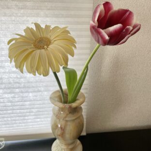 私が天然石・鉱物をインテリアにすすめるワケ。