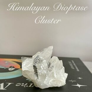 ヒマラヤン ダイオプテーズ クラスター