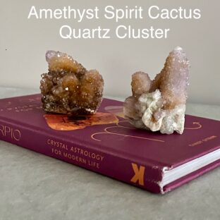 ミニ アメジスト スピリット カクタス クラスター