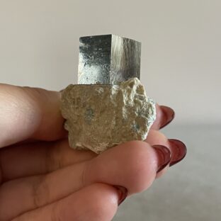 スペイン産ミニ パイライト キューブ オン マトリックス