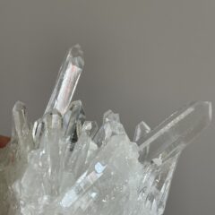 コロンビア産レムリアン クラスター