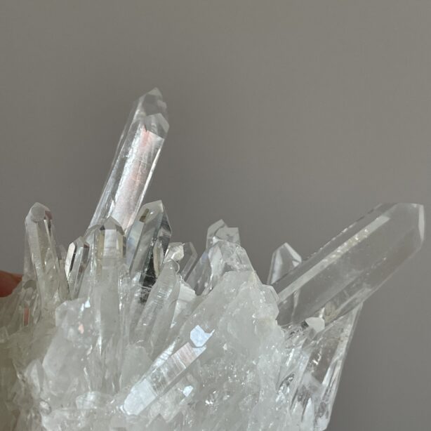 コロンビア産レムリアン クラスター